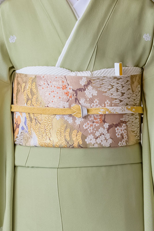 美品　五つ紋　色留袖　生絹　袋帯　抹茶　４点フルセット　結婚式　入学式　吉祥文 色留袖レンタル フルセット 抹茶 松に菊（五つ紋）｜京都 KIMONO STYLE