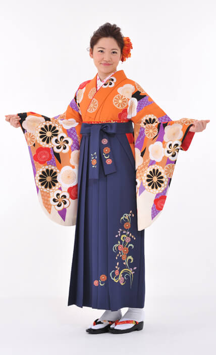 矢絣に菊
